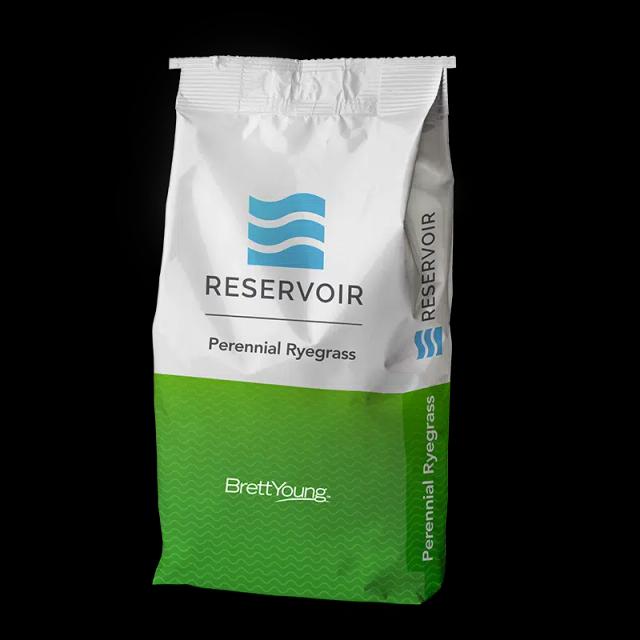 RESERVOIR (Perennial Ryegrass)