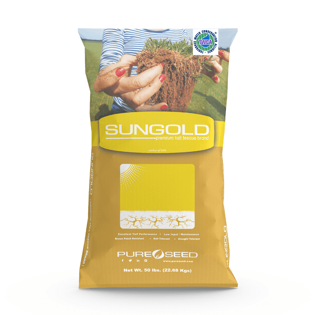 SUNGOLD TWCA - Tall Fescue