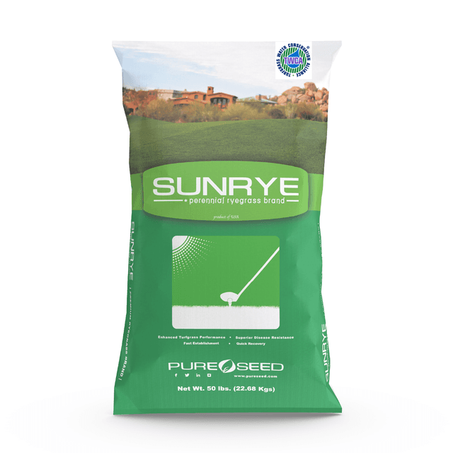 SUNRYE TWCA - Perennial Ryegrass