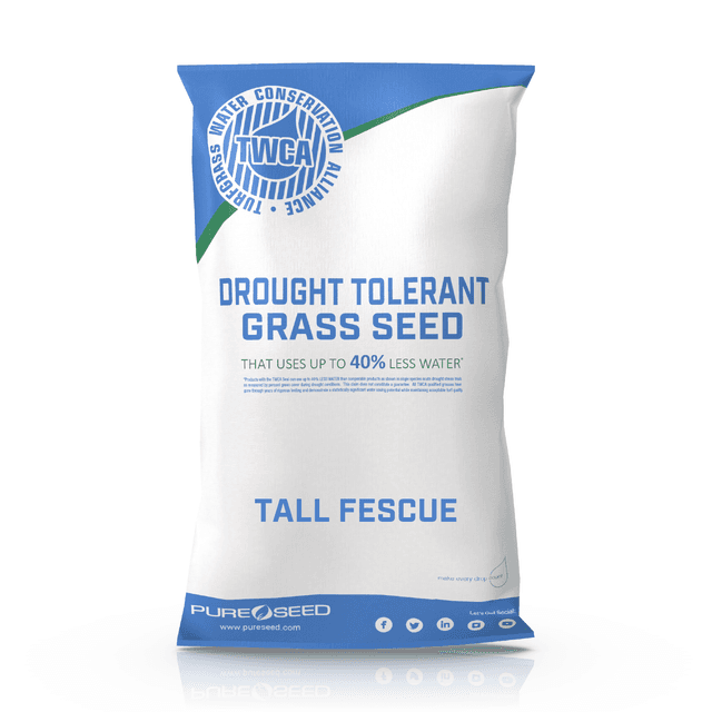 TWCA Tall Fescue