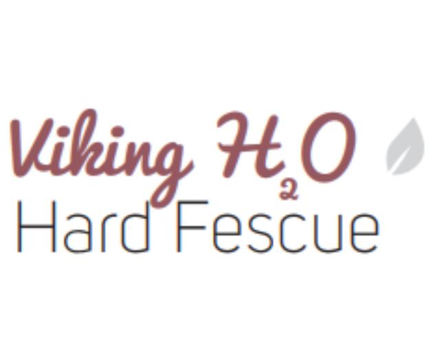 Viking H2O Hard Fescue