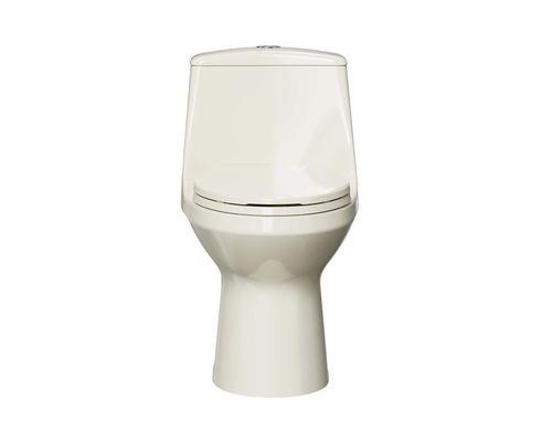 Project Source Laporte 1-piece Toilet