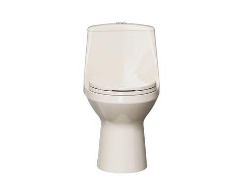Project Source Laporte 1-piece Toilet