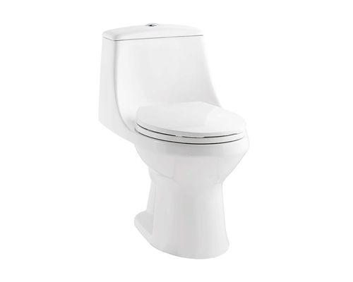 Project Source Laporte 1-piece Toilet