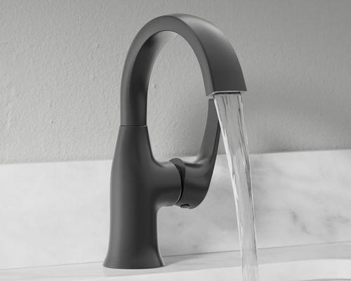 allen + roth Camberly Bathroom Sink Faucet
