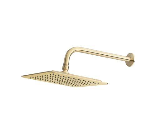 allen + roth Reign Shower Head