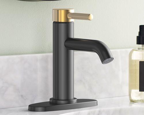 allen + roth Harlow Bathroom Sink Faucet